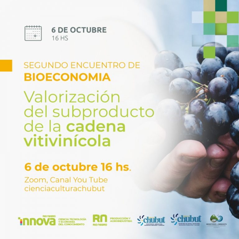 CHUBUT Y RIO NEGRO REALIZARÁN EL SEGUNDO ENCUENTRO DE “BIOECONOMÍA: VALORIZACIÓN DEL SUBPRODUCTO DE LA CADENA VITIVINÍCOLA”.